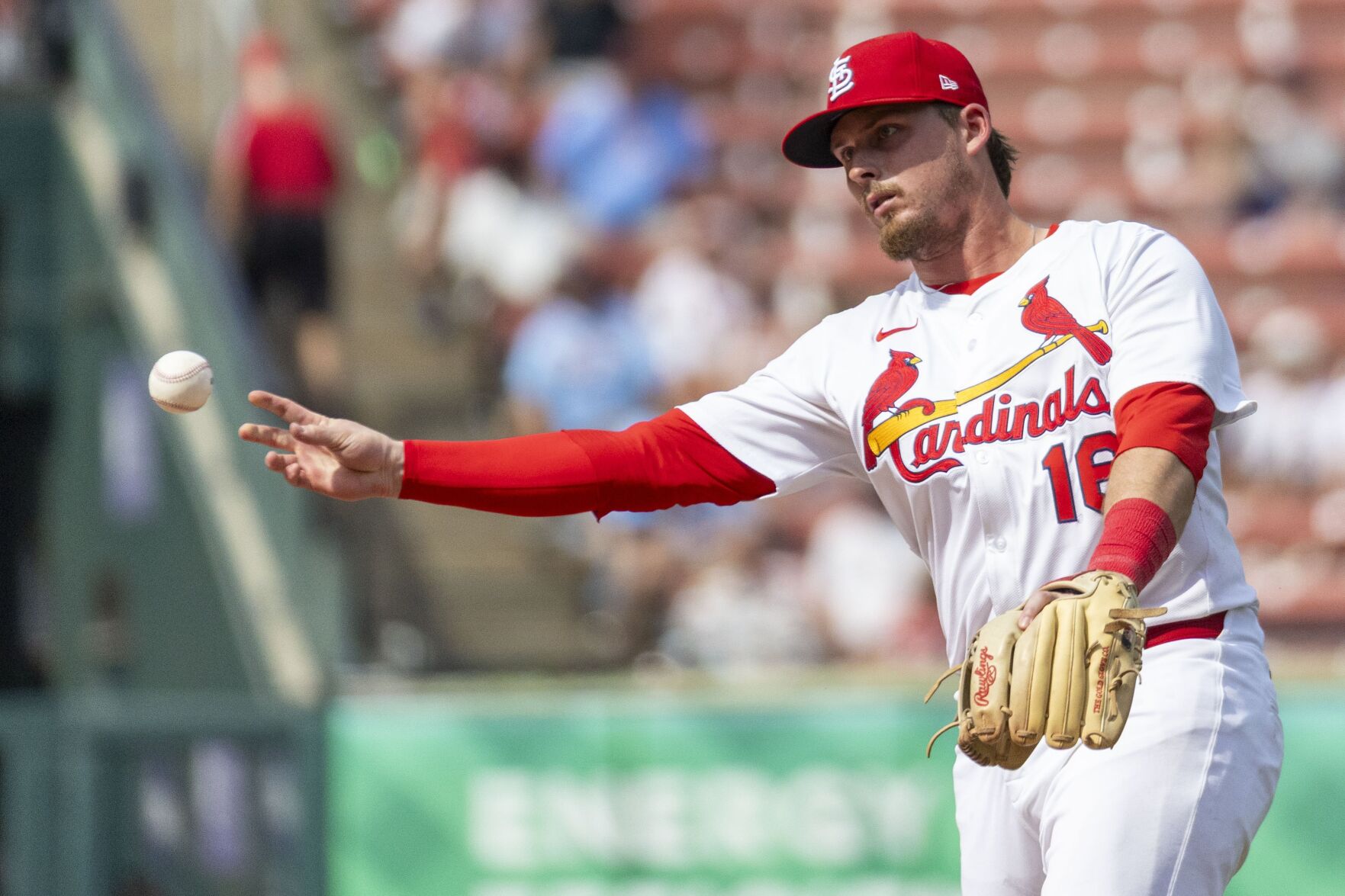 51黑料 Cardinals host Blue Jays